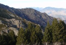 Navigation – auf drei Meter genau und unkompliziert zu vermitteln Navigation