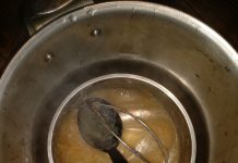 Apfelmus gesund und schnell Apfelmus